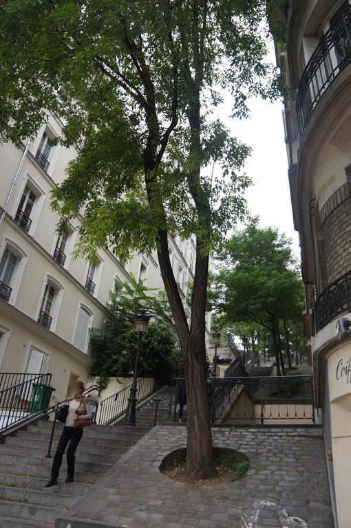 Studios de Charme à Montmartre Paris Exterior foto